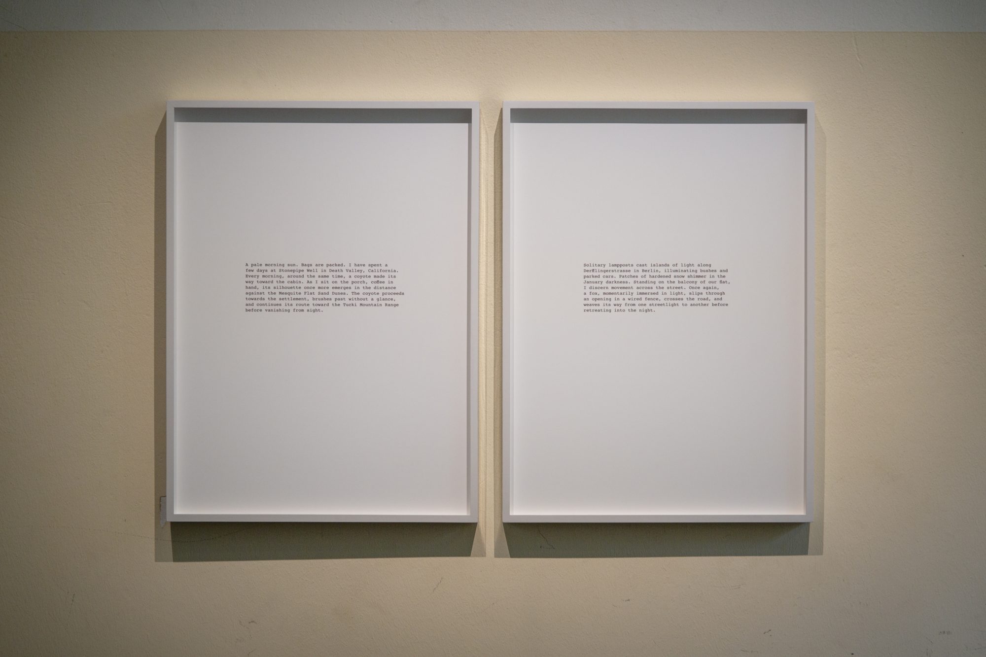 Daniel Gustav Cramer, Fox & Coyote, 2024-2025. 2 ink-jet prints on paper, silver plated each. 1,000 C-prints distributed throughout the city. 2 elements: 52 x 40.5 cm (each) 25 x 20.5 cm (each)
