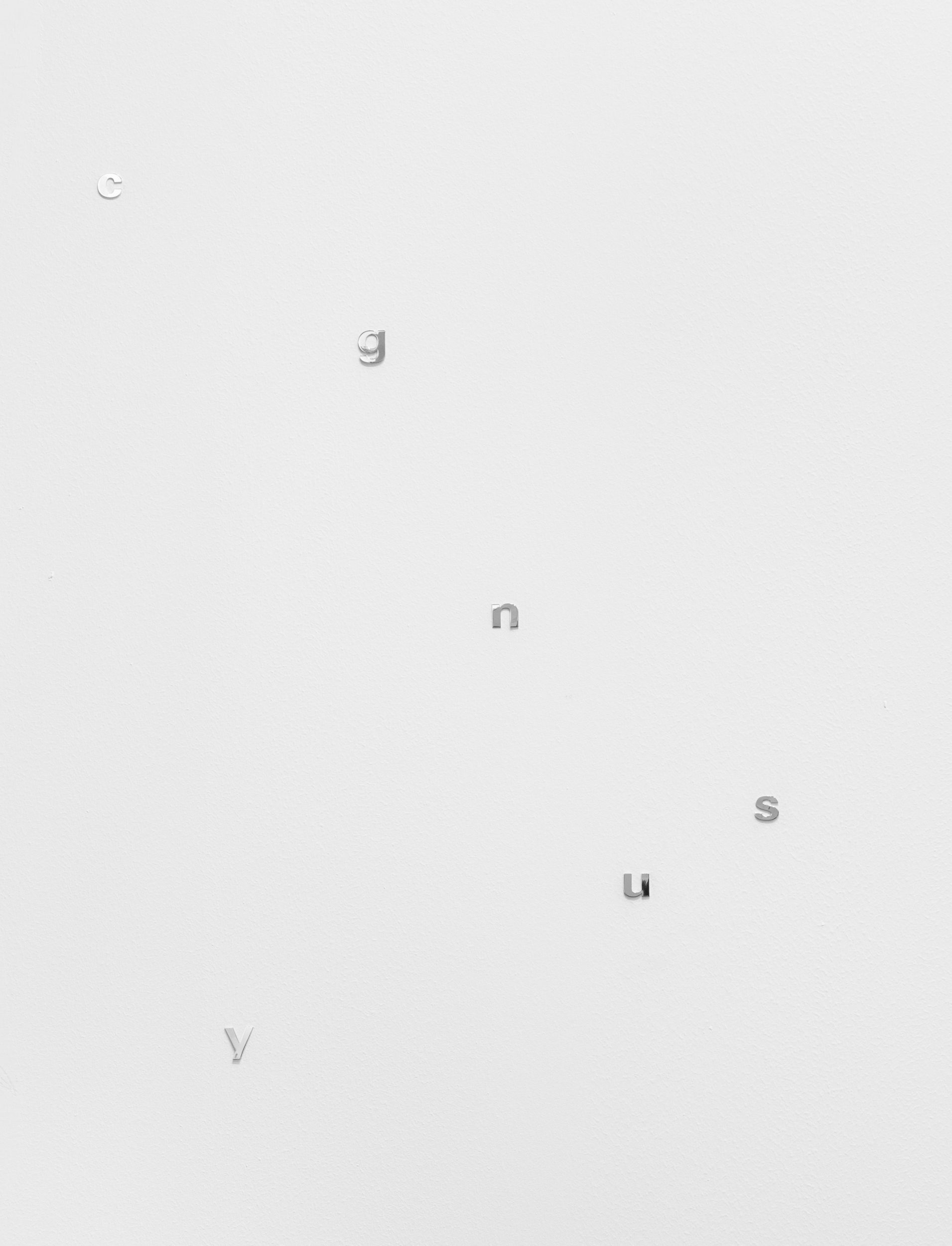 


Angela Detanico / Rafael Lain, Cygnus, 2025. Silver. Variable dimensions. Unique



