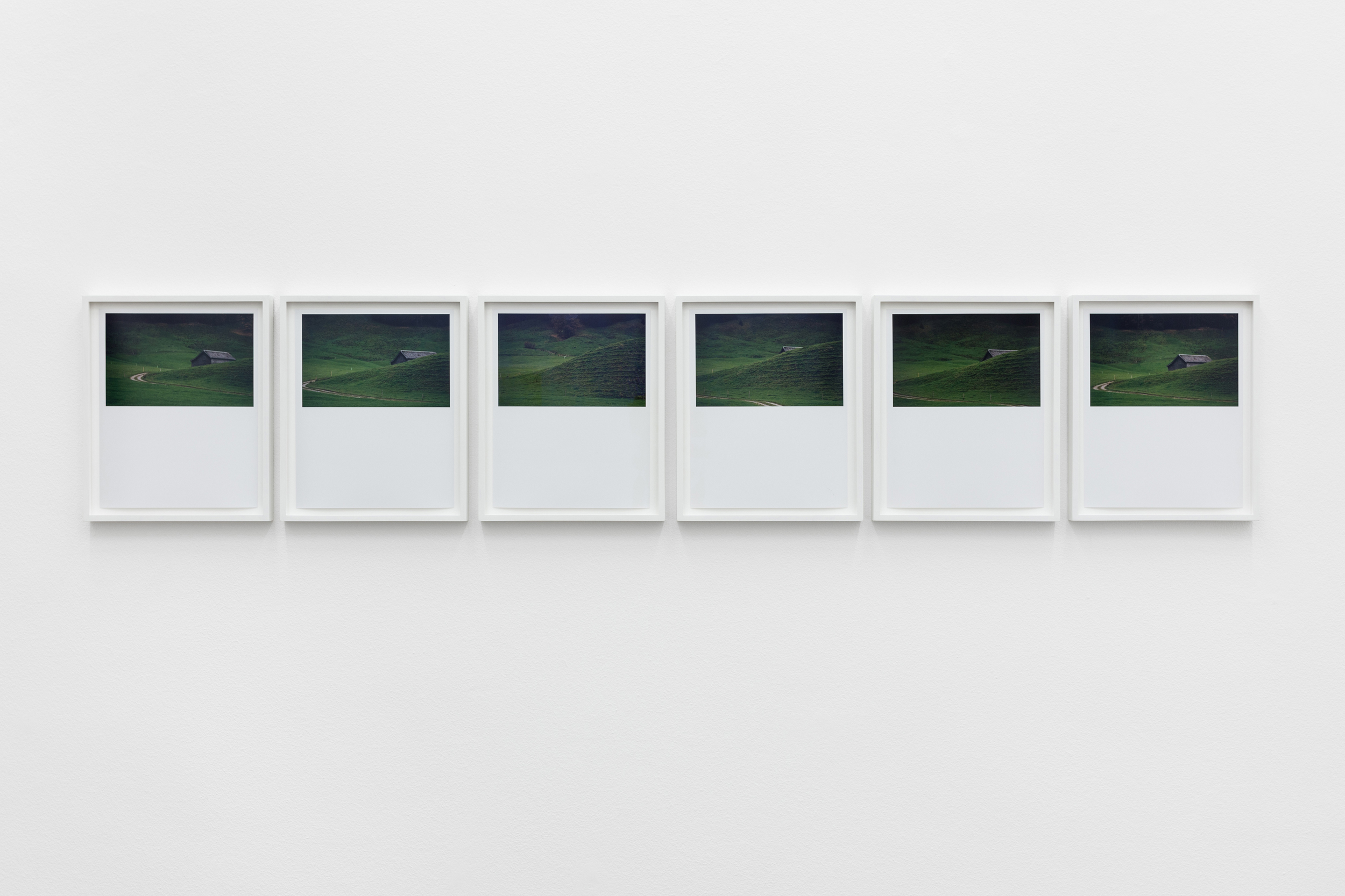 Daniel Gustav Cramer, Tales 63 (Chräzerenwald, Appenzell, Switzerland, November 2013), 2014. 6 C-prints. 25 × 21 cm (each)

