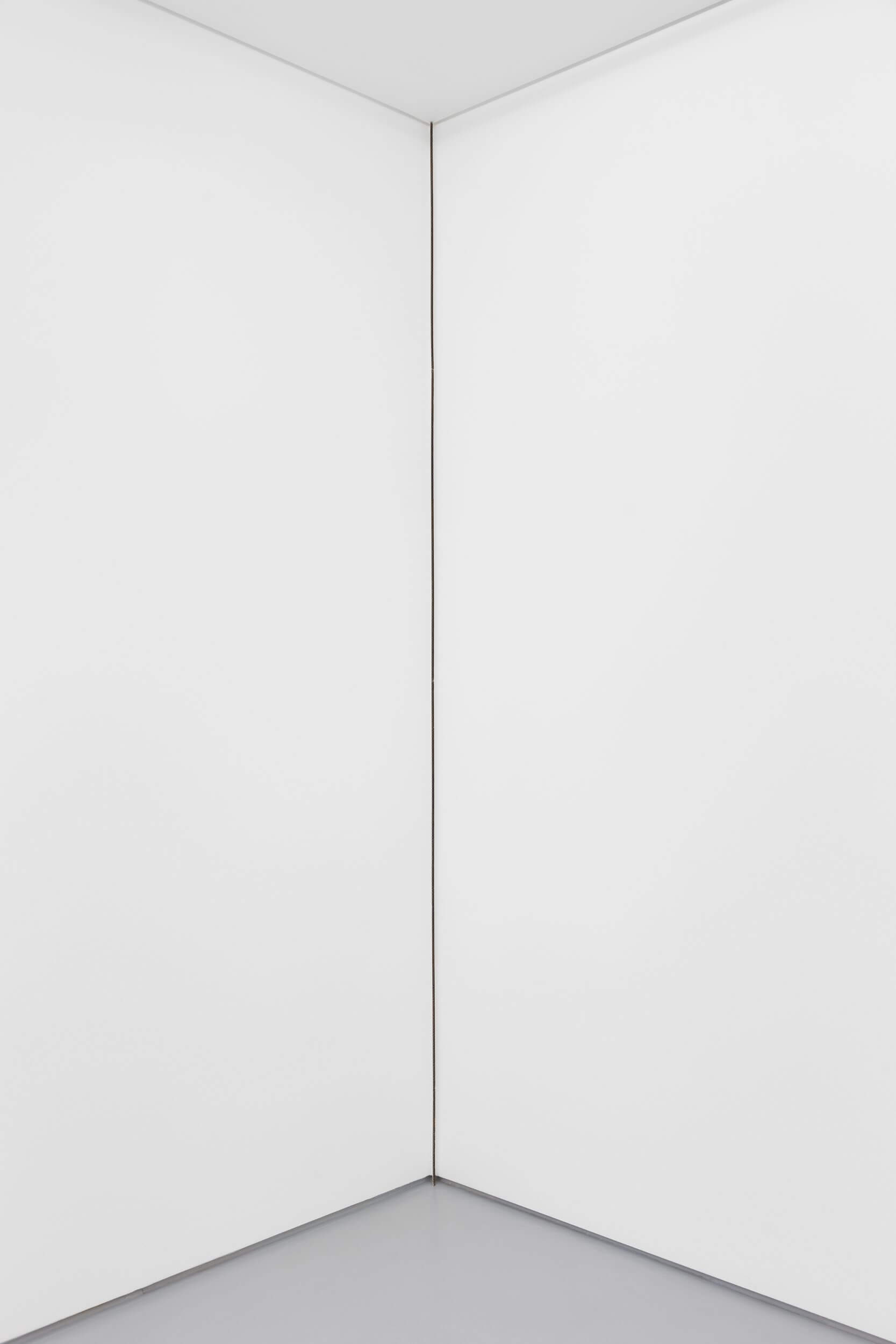 Carlos Bunga, Linha (vertical), 2017 (2021). Latex and glue on carboard and wall. 286,5 x 0,8 x 3 cm
