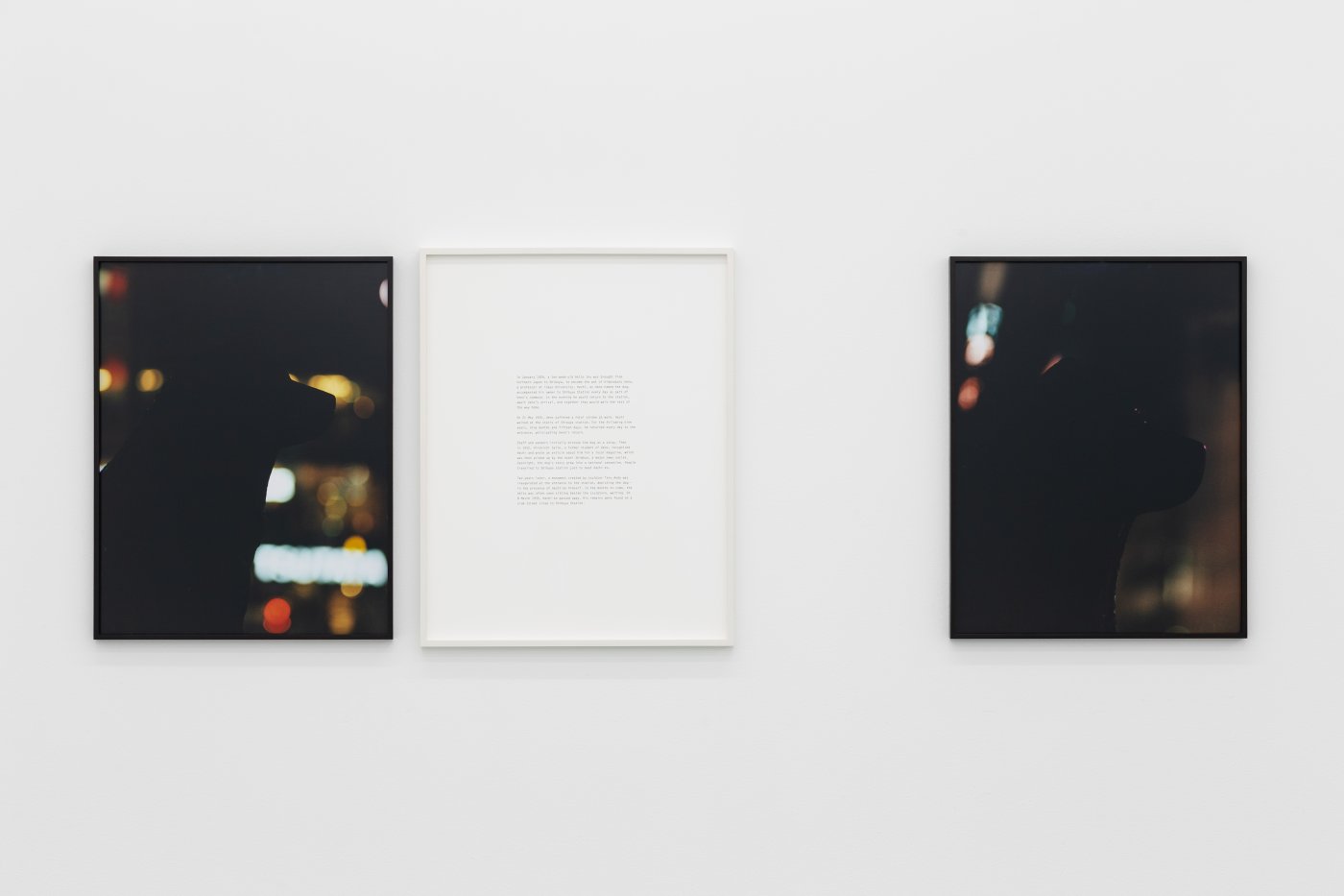 Daniel Gustav Cramer, Hachi, 2021. 2 C-prints, text. 61 × 168 cm
