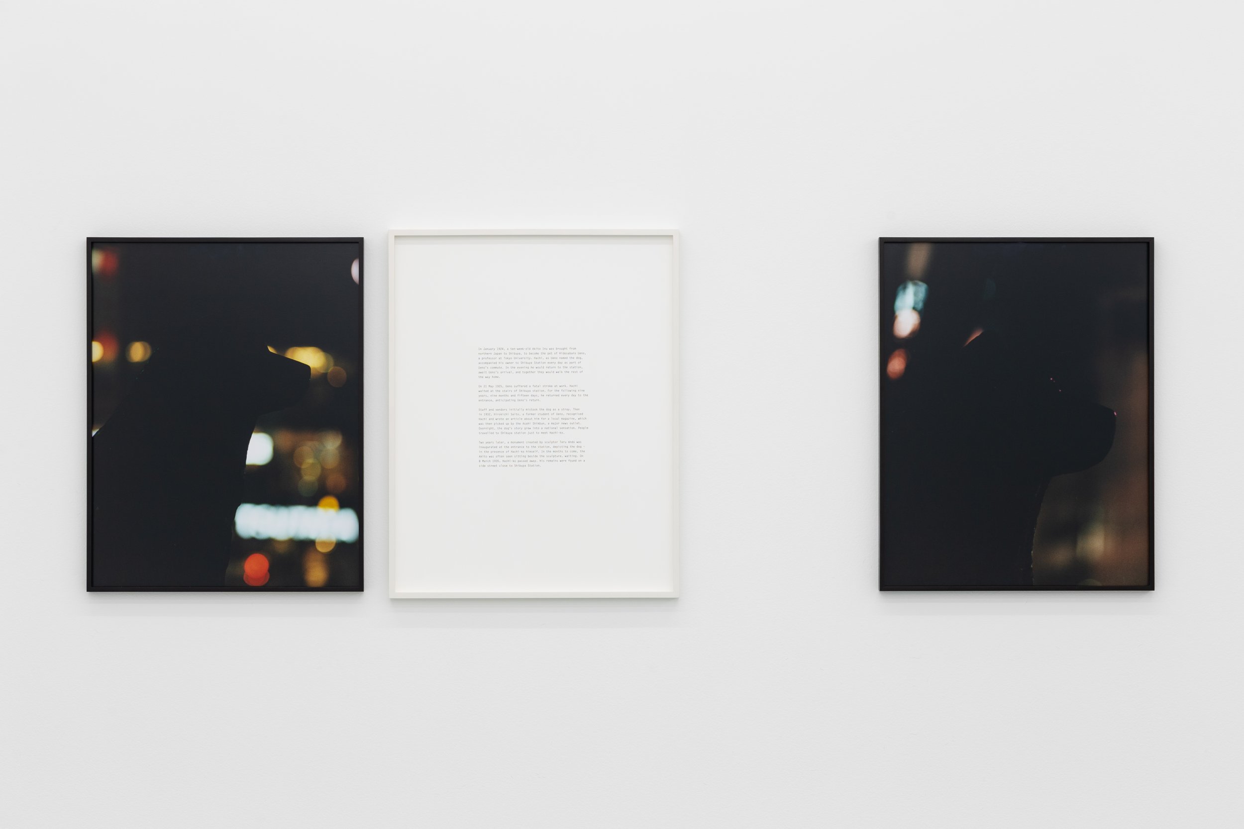 Daniel Gustav Cramer, Hachi, 2021. 2 C-prints, text. 61 × 168 cm

