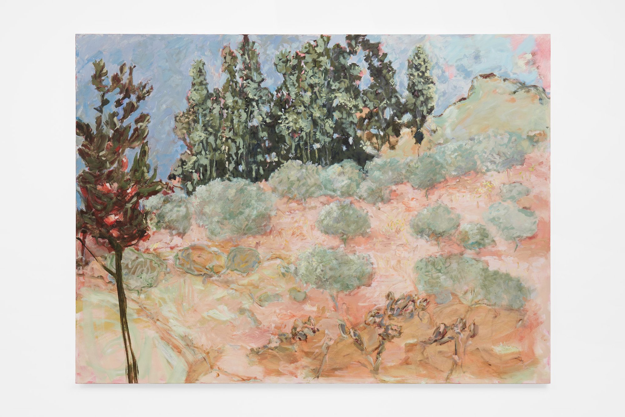 João Queiroz, Untitled, 2022. Oil on canvas. 123 x 168 cm. Unique. Photo: GRAYSC.
