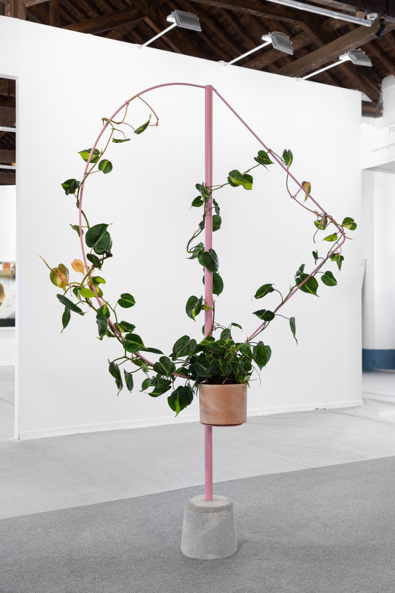 Céline Condorelli, Props (arrow), 2020. Powder coated steel tubing, concrete stand, potted Philodendron Scandens. 220 x 90 cm (approx.). Unique
