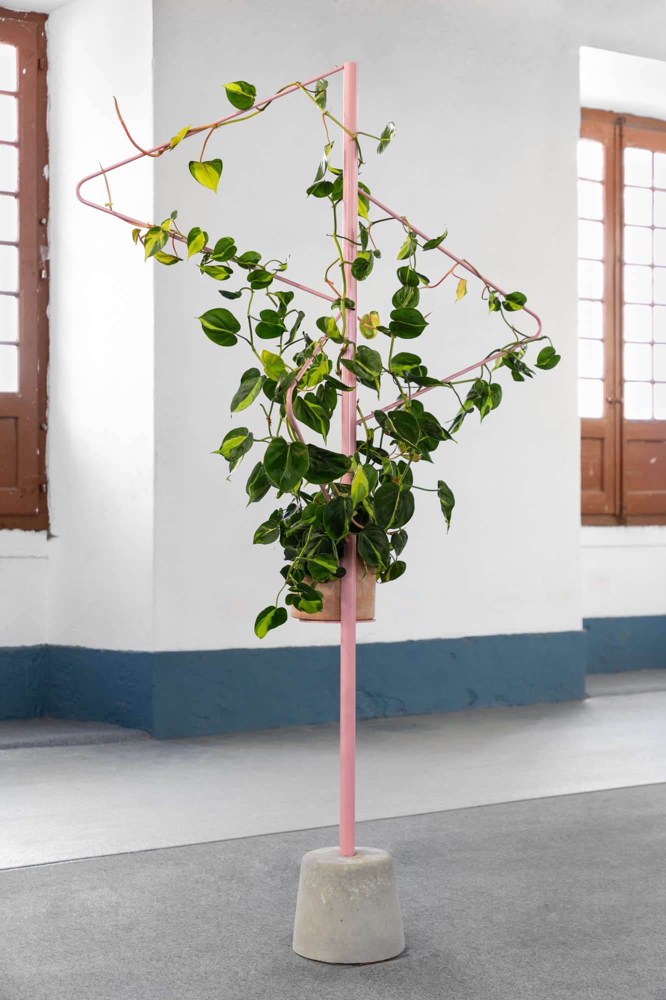 Céline Condorelli, Props (triangles), 2020. Powder coated steel tubing, concrete stand, potted Philodendron Scandens. 220 x 90 cm (approx.). Unique
