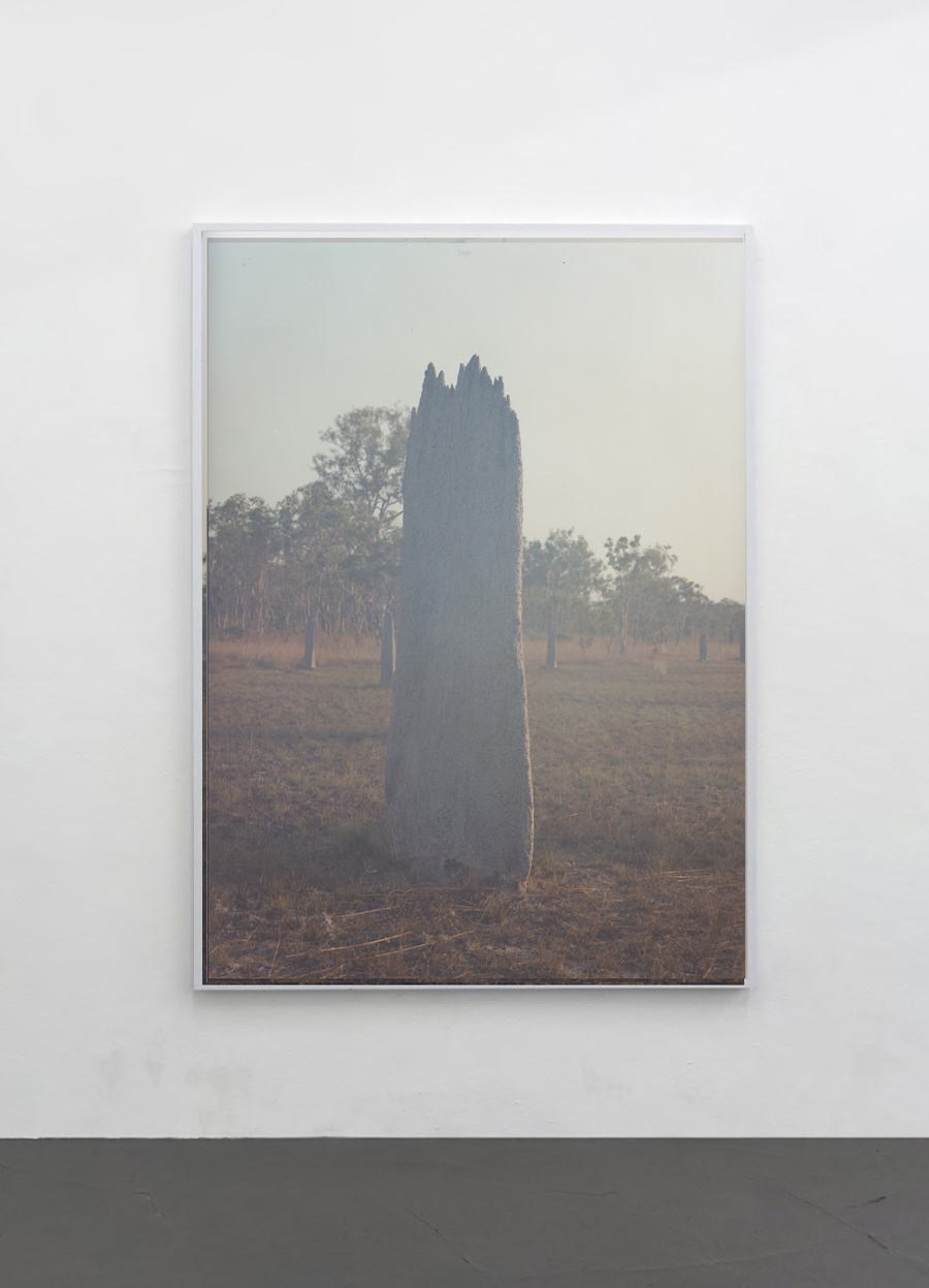 Daniel Gustav Cramer, Untitled (Termite Mound) III, 2022. C-print, framed. 158 x 124 cm. Edition 1/3 + AP
