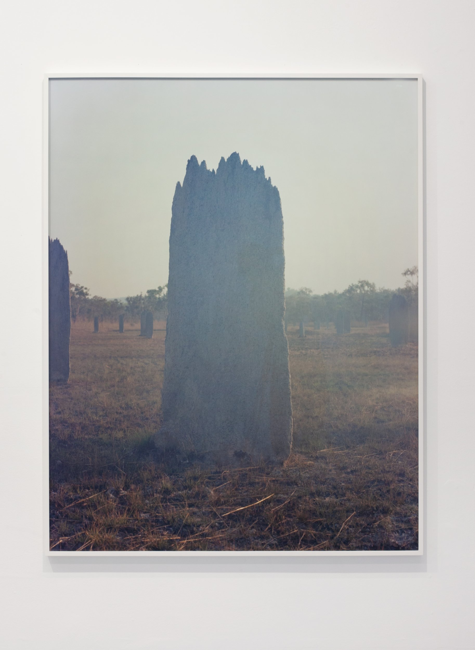 Daniel Gustav Cramer, Untitled (Termite Mound) II, 2022. C-print, framed. 158 x 124 cm. Edition 1/3 + AP
