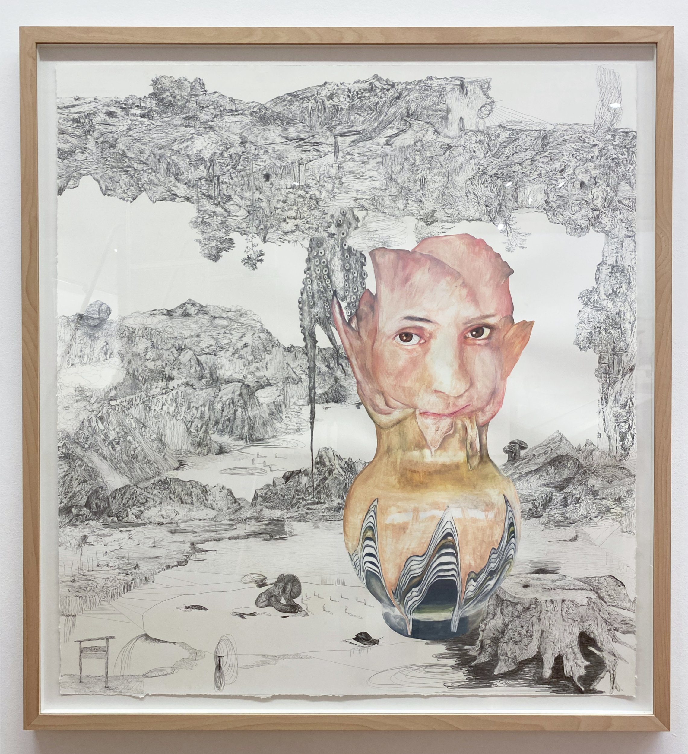 Trans-Planas & Trans-Plantas, 2011. Water-soluble wax pastels and graphite on paper. 115 x 125 cm.
