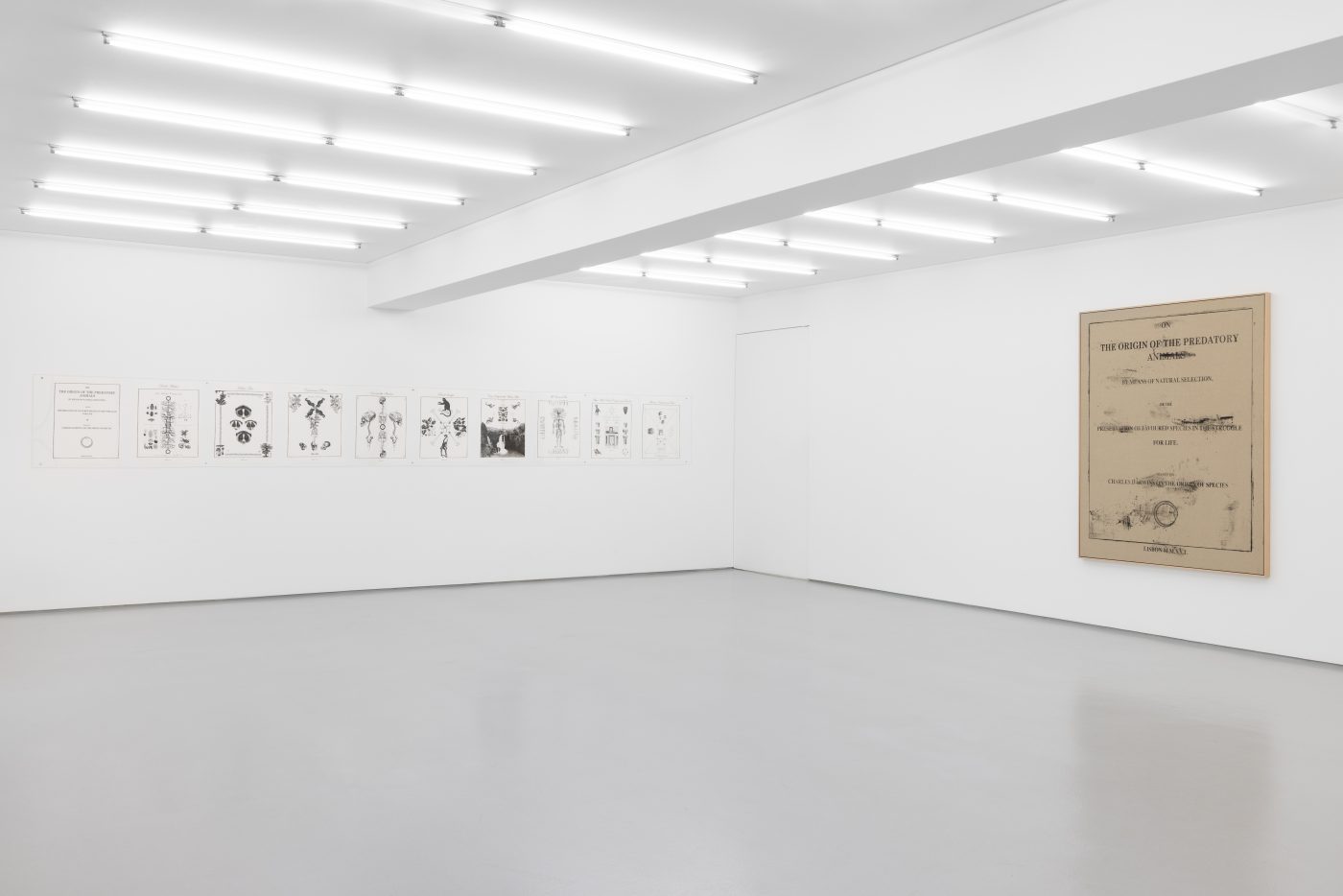 Exhibition view: João Louro, The Origin of the Predatory Animals. On view until 8 November
