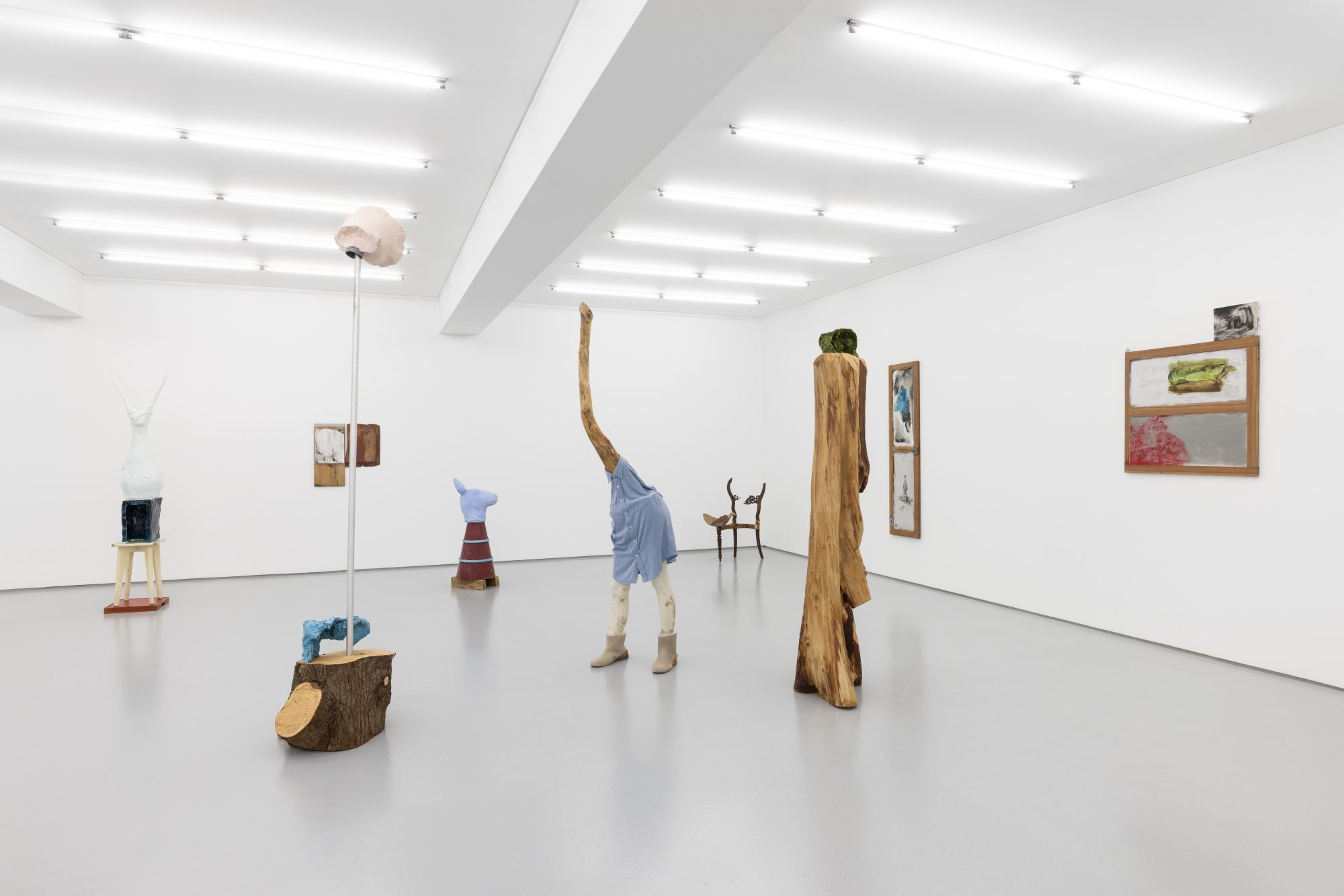 Exhibition view: Susanne S. D. Themlitz, Natural History, 2025.