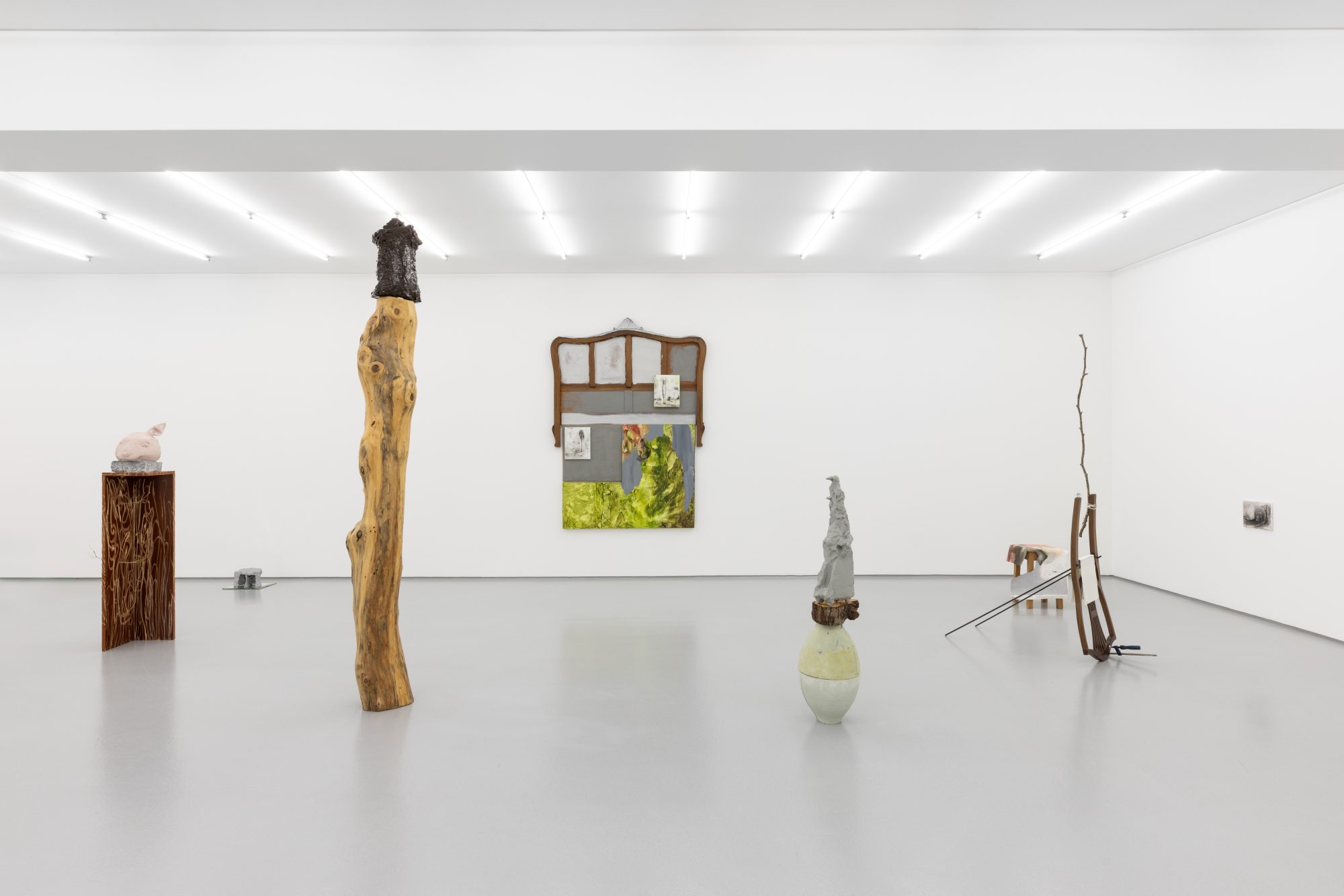 Exhibition view: Susanne S. D. Themlitz, Natural History, 2025.