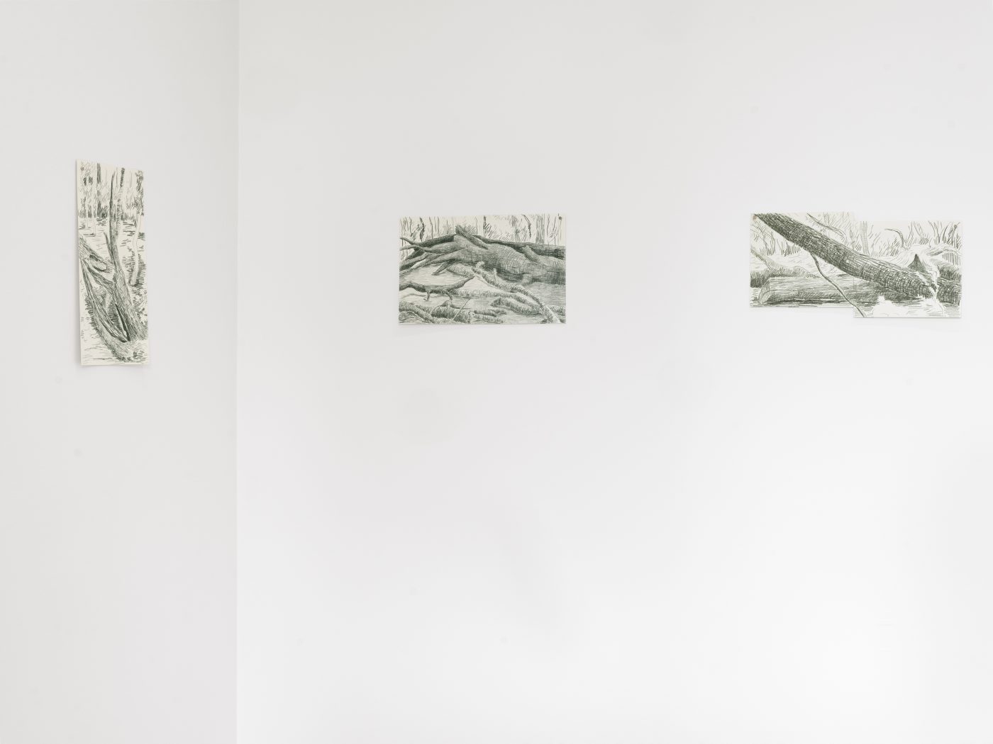 Gabriela Albergaria, Sonho Manifesto, Em Leiria todas as árvores são pinheiros, 2025. Centro de Artes Villa Portela. Exhibition view
