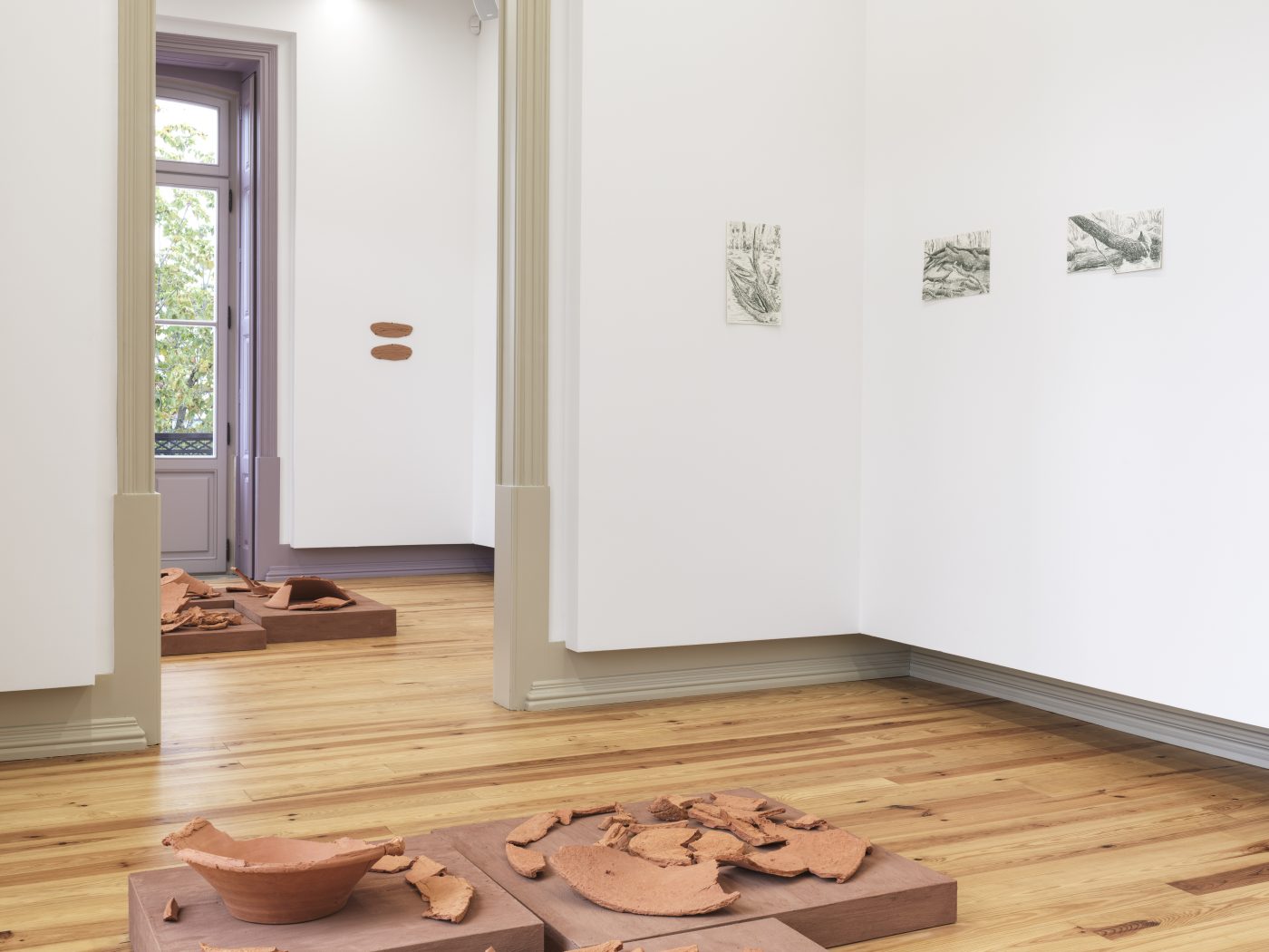 Gabriela Albergaria, Sonho Manifesto, Em Leiria todas as árvores são pinheiros, 2025. Centro de Artes Villa Portela. Exhibition view.
