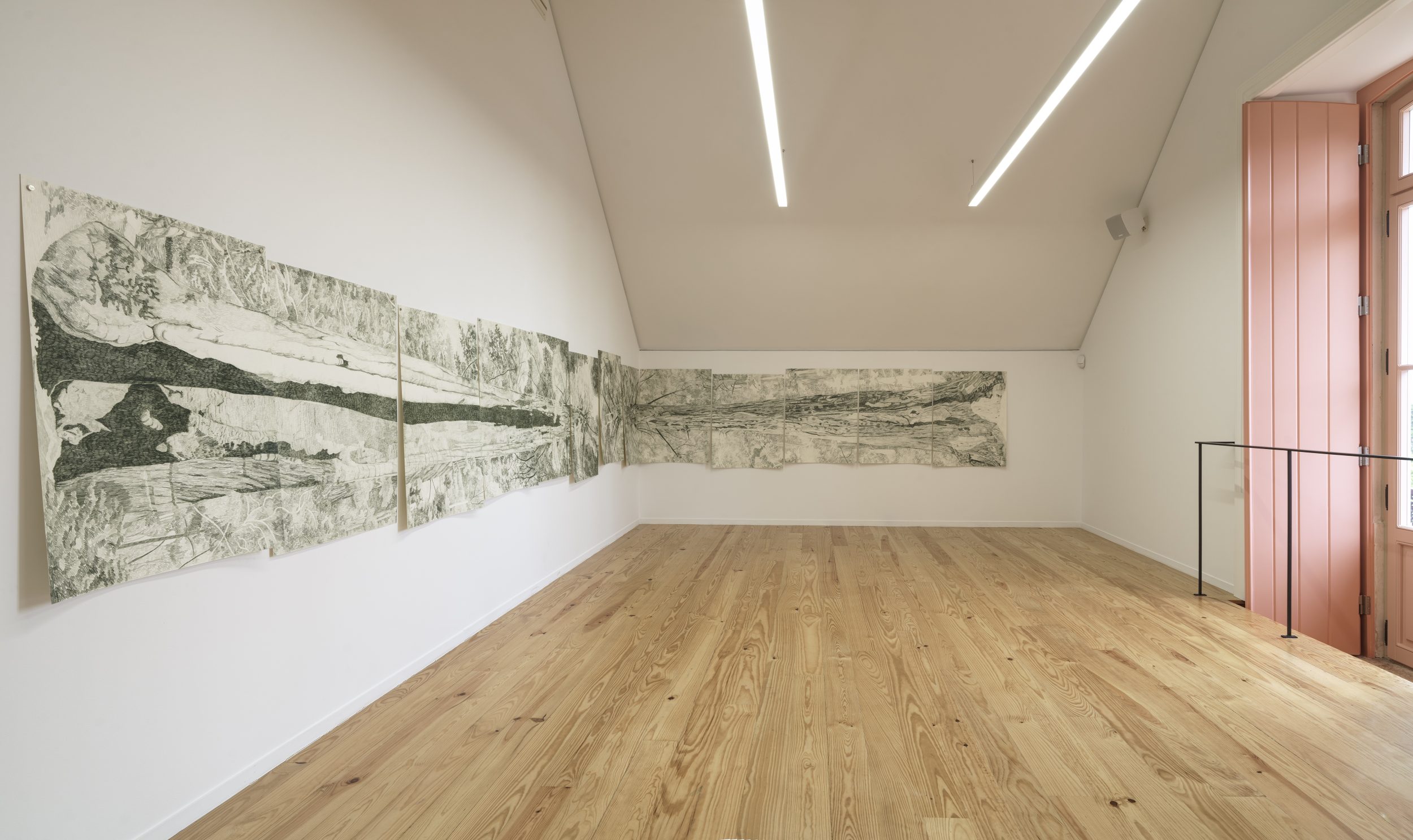 Gabriela Albergaria, Sonho Manifesto, Em Leiria todas as árvores são pinheiros, 2025. Centro de Artes Villa Portela. Exhibition view.
