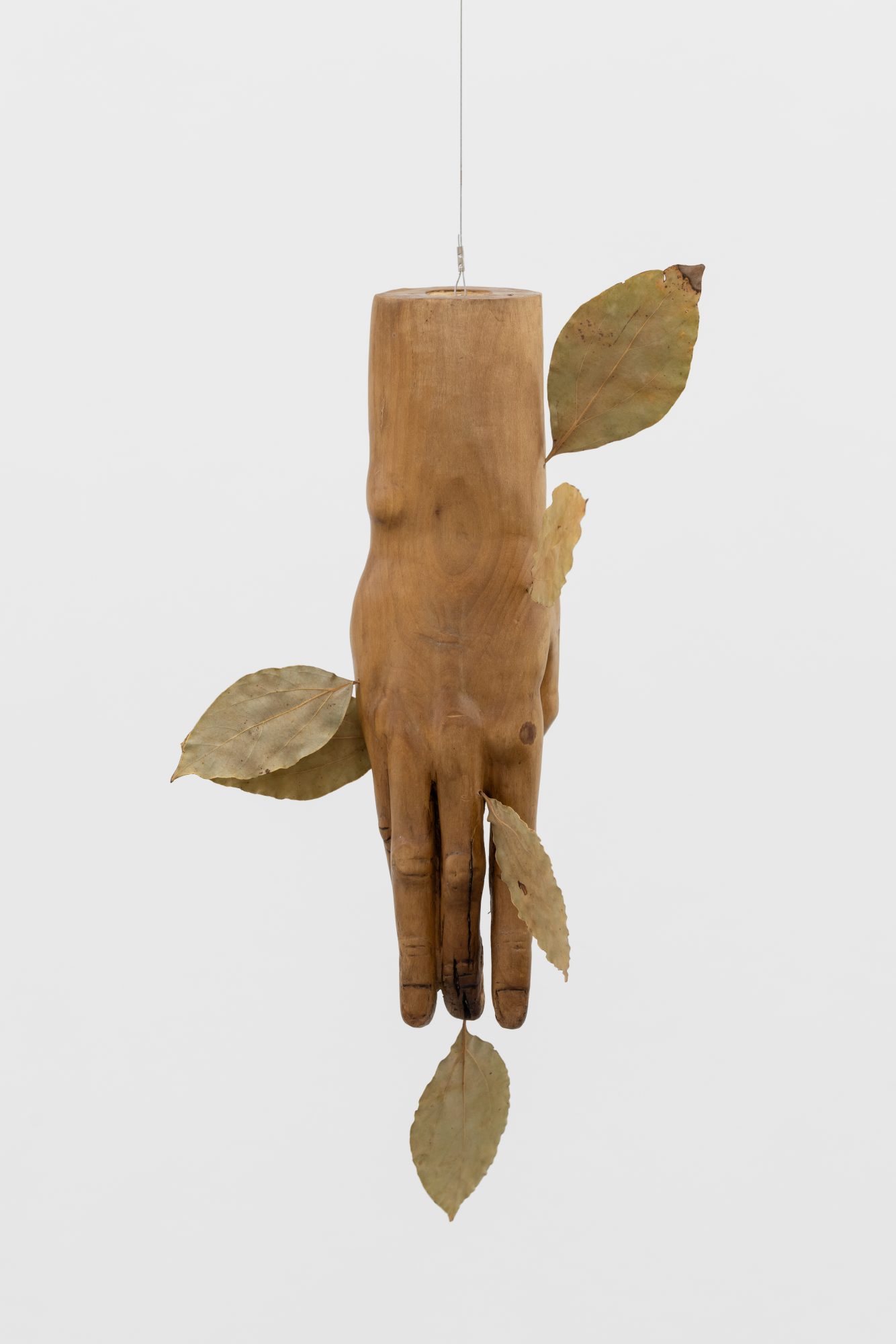 André Romão, L.C., 2026. Reworked sculptural fragment (wood, unknown, c. 1970), Camphor tree leafs from Lourdes Castro’s garden 31,5 x 18 x 11 cm
