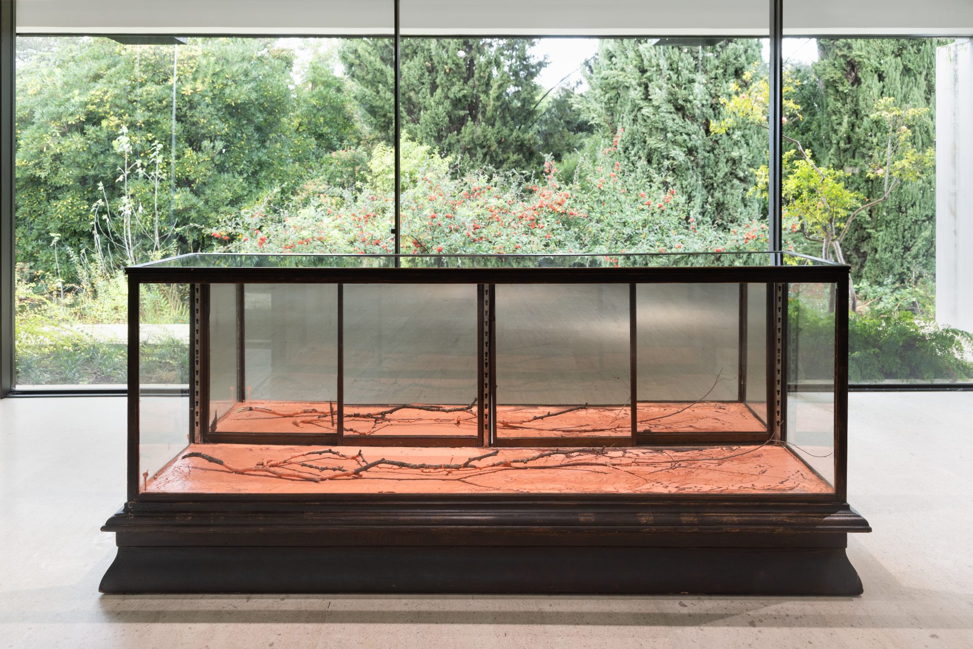 Carlos Bunga, Nature in a Vitrine, 2020. Latex, glue and branch in a vitrine. 104 x 236,5 x 66 cm
