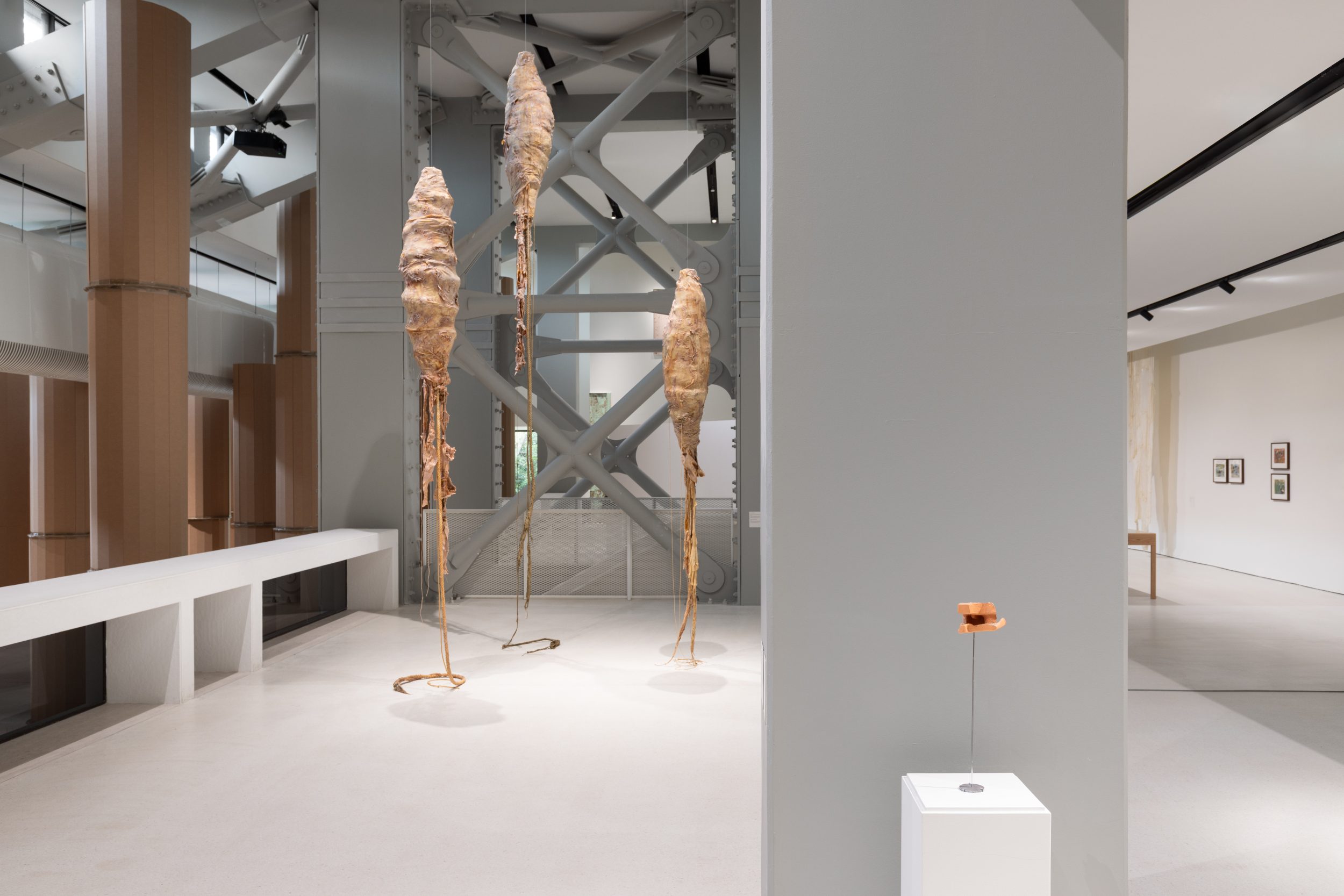 Carlos Bunga, Forest, 2025. Site specific installation for Centro de Arte Moderna Gulbenkian
