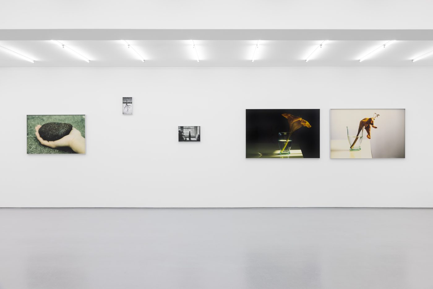 Daniel Blaufuks, (Still) Waiting for Godot. On view until 16 May
