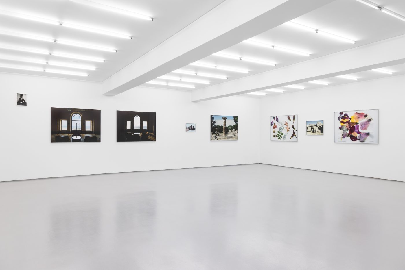 Daniel Blaufuks, O Regresso de Tânger (Solandra Grandiflora) I / The Return from Tangiers (Solandra Grandiflora) I, 2026. Inkjet print on paper. 100 x 150 x 3,5 cm. Ed. 3
