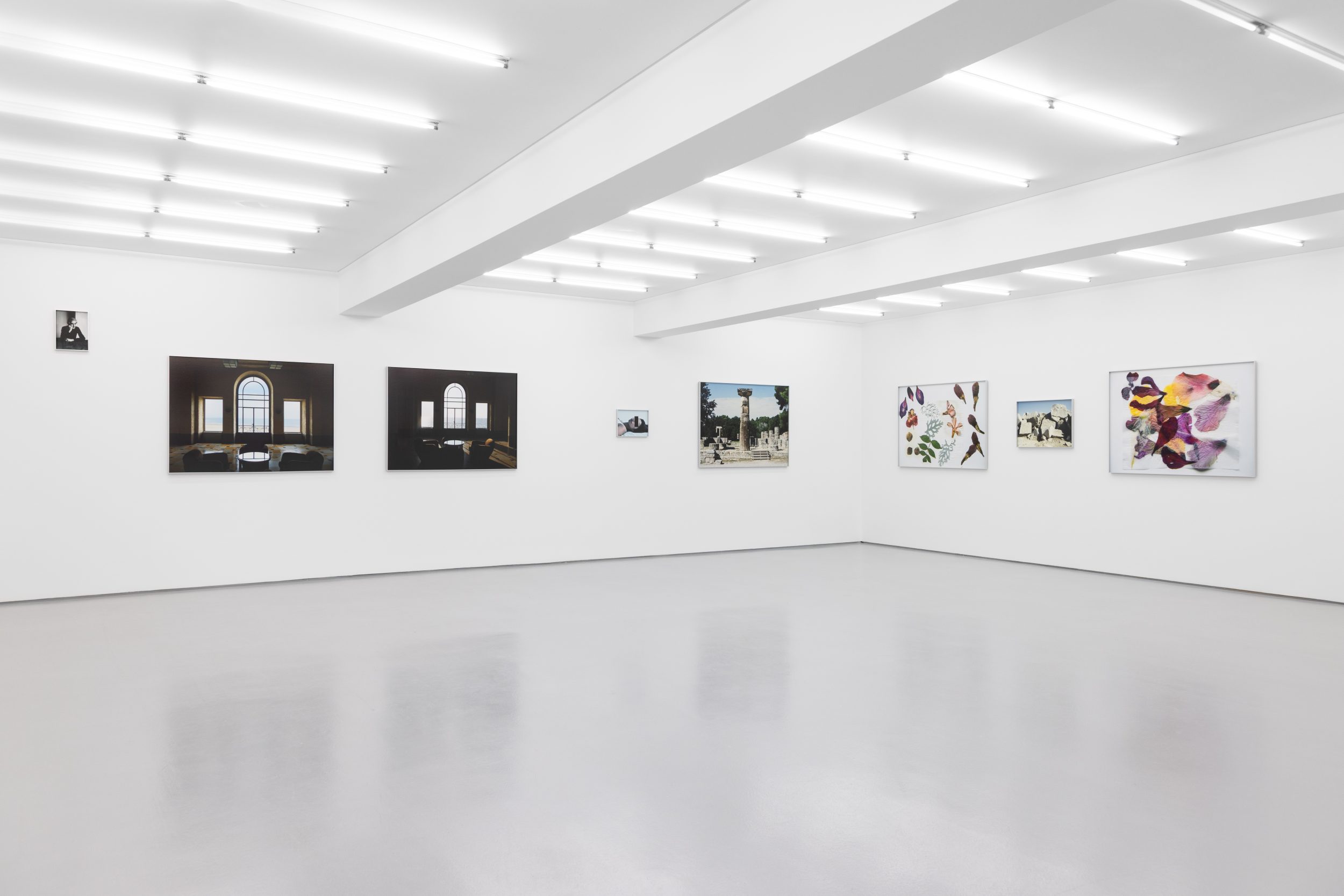 Daniel Blaufuks, O Regresso de Tânger (Solandra Grandiflora) I / The Return from Tangiers (Solandra Grandiflora) I, 2026. Inkjet print on paper. 100 x 150 x 3,5 cm. Ed. 3
