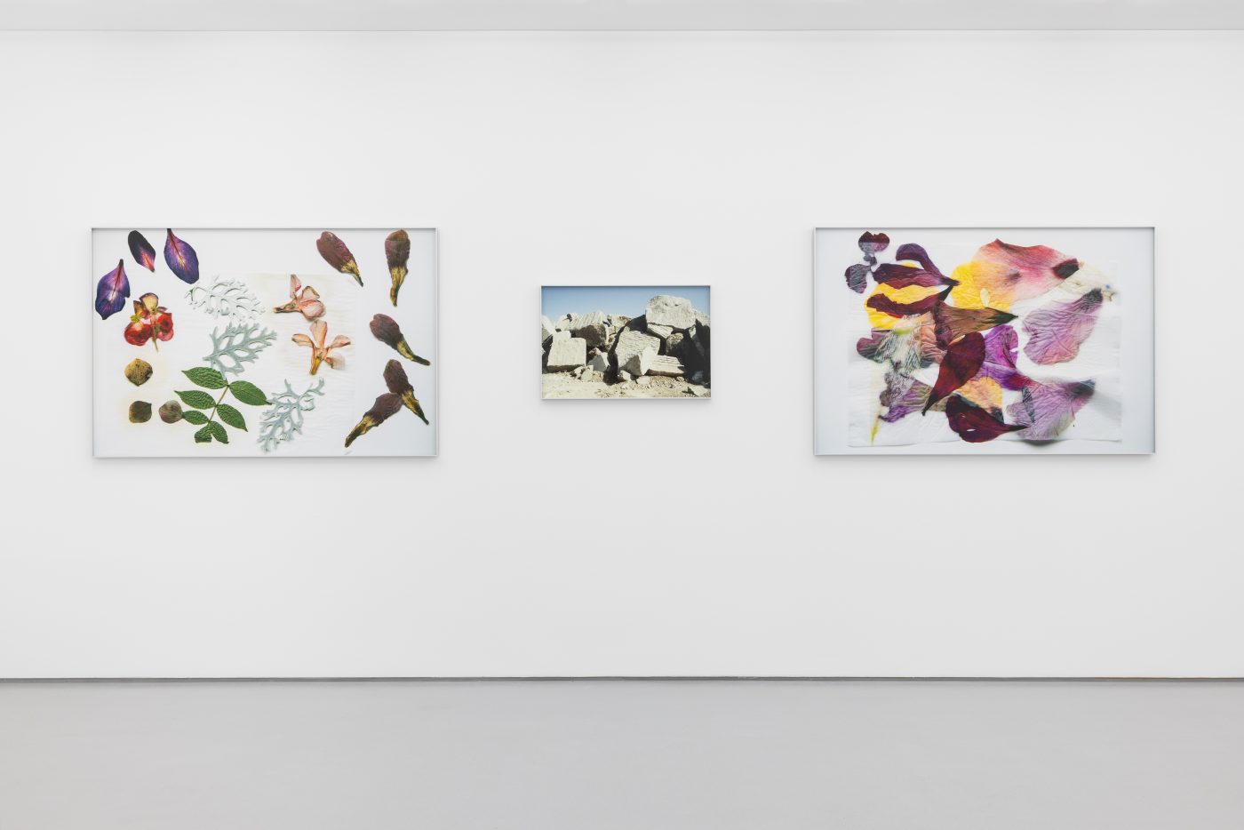 Daniel Blaufuks, O Passar dos Dias (no estúdio) / The Passing of Days (in the studio), 2026. Inkjet print on paper. 32 x 45 x 3,5 cm. Ed. 3
