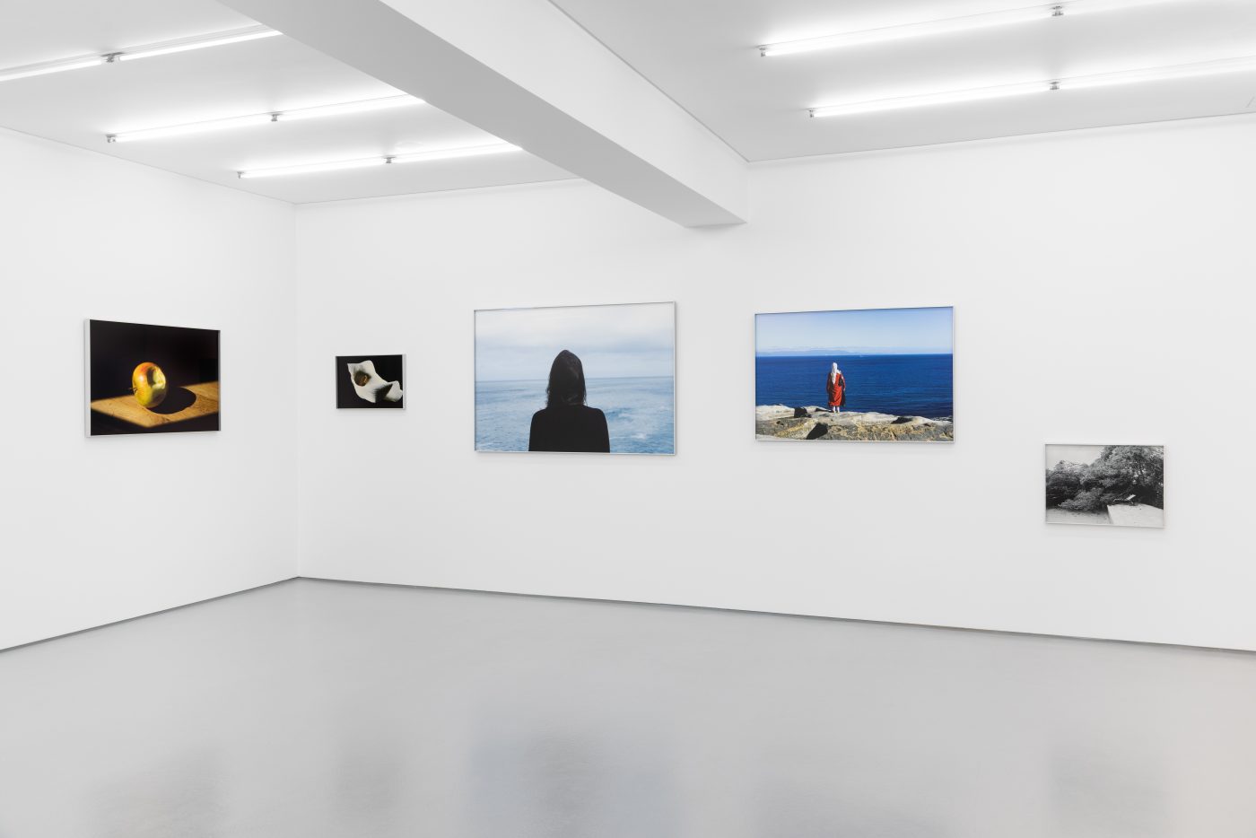 Daniel Blaufuks, The Enumeration of the Elements II (From the Garden of Calouste Gulbenkian), 2026. Inkjet print on paper. 100 x 150 x 3,5 cm. Ed. 3
