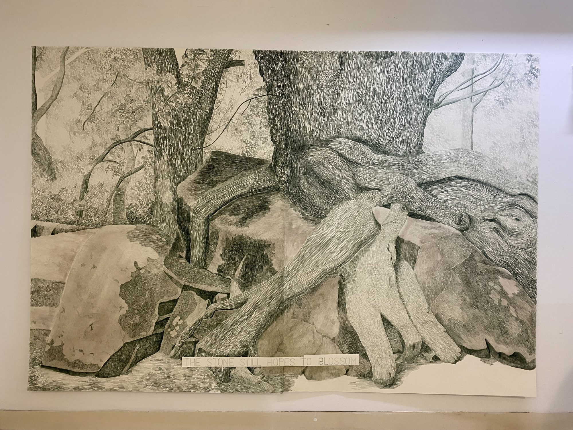 Gabriela Albergaria, Colaborações #2, 2026. Colour pencil on paper (HeritageWoodfree Bookwhite 315gsm). 2 x (137 x 202 cm)
