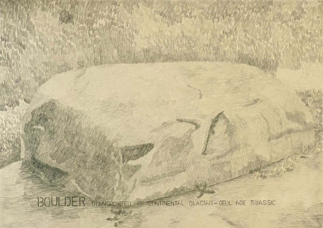 Gabriela Albergaria, Boulder transported by continental glacier- Triassic, Brooklyn Botanic #2, 2025. Colour pencil on paper (Heritage Woodfree Bookwhite 315gsm). 50 x 70 cm
