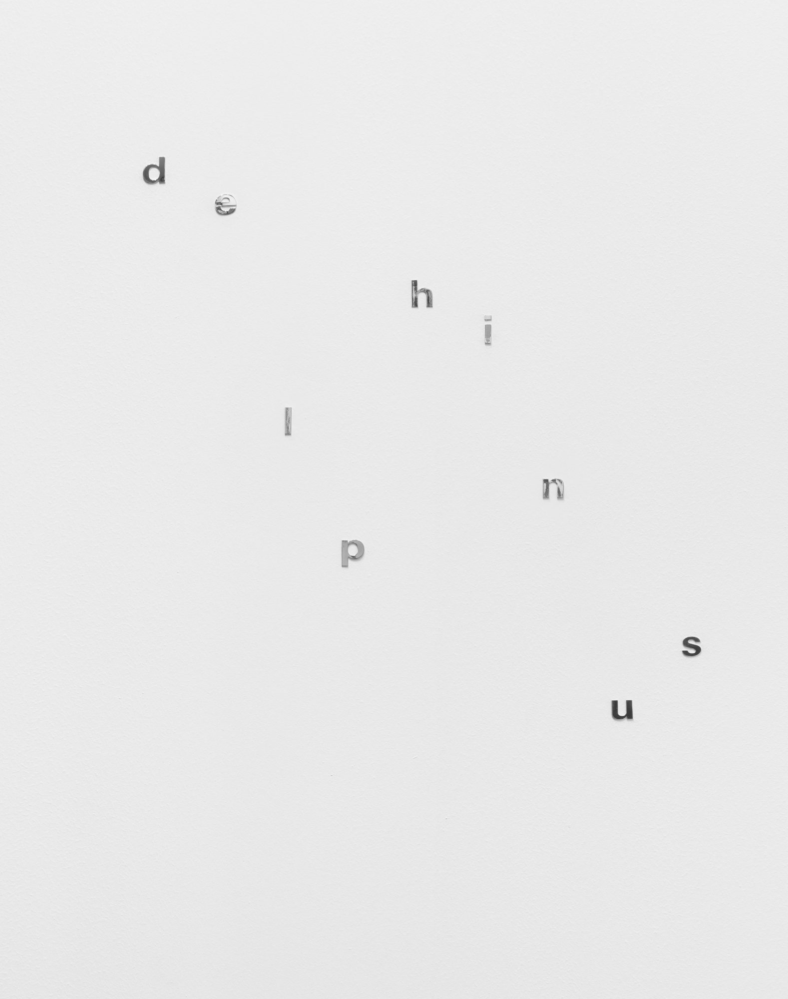 Angela Detanico / Rafael Lain, Delphinus, 2025. Silver. Variable dimensions.
