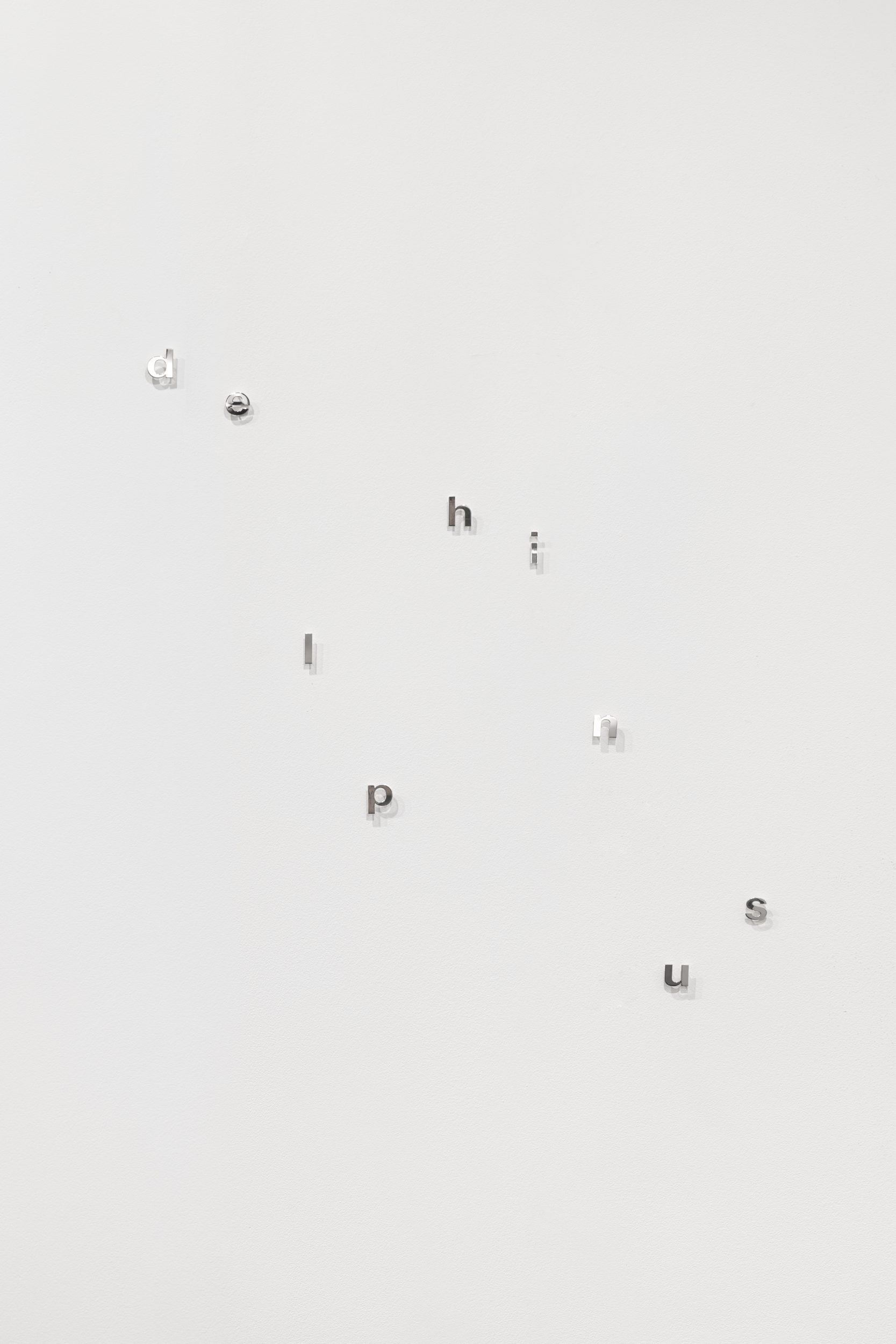 Angela Detanico / Rafael Lain, Delphinus, 2025. Silver. Variable dimensions. Unique
