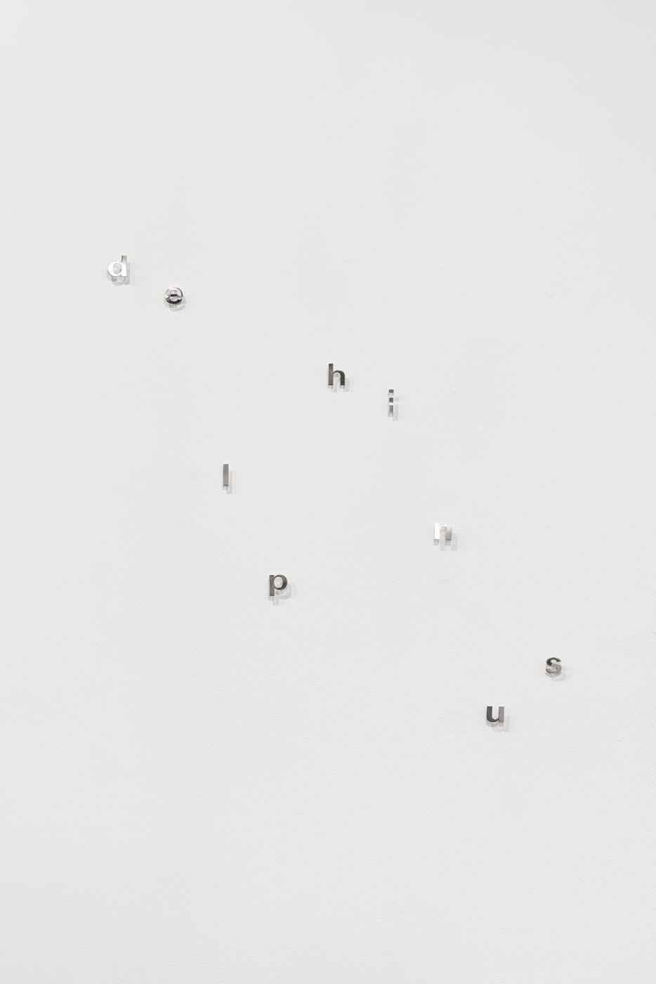 Angela Detanico / Rafael Lain, Delphinus, 2025. Silver. Variable dimensions. Unique
