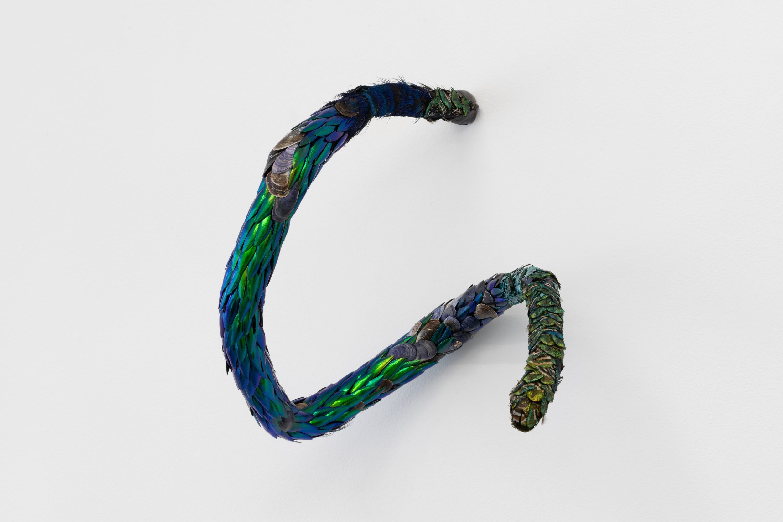 André Romão, Alien kin 4, 2026. Beetles, mussels, abalone shell, peacock feathers, plexiglas. 29 x 35 x 28 cm.
