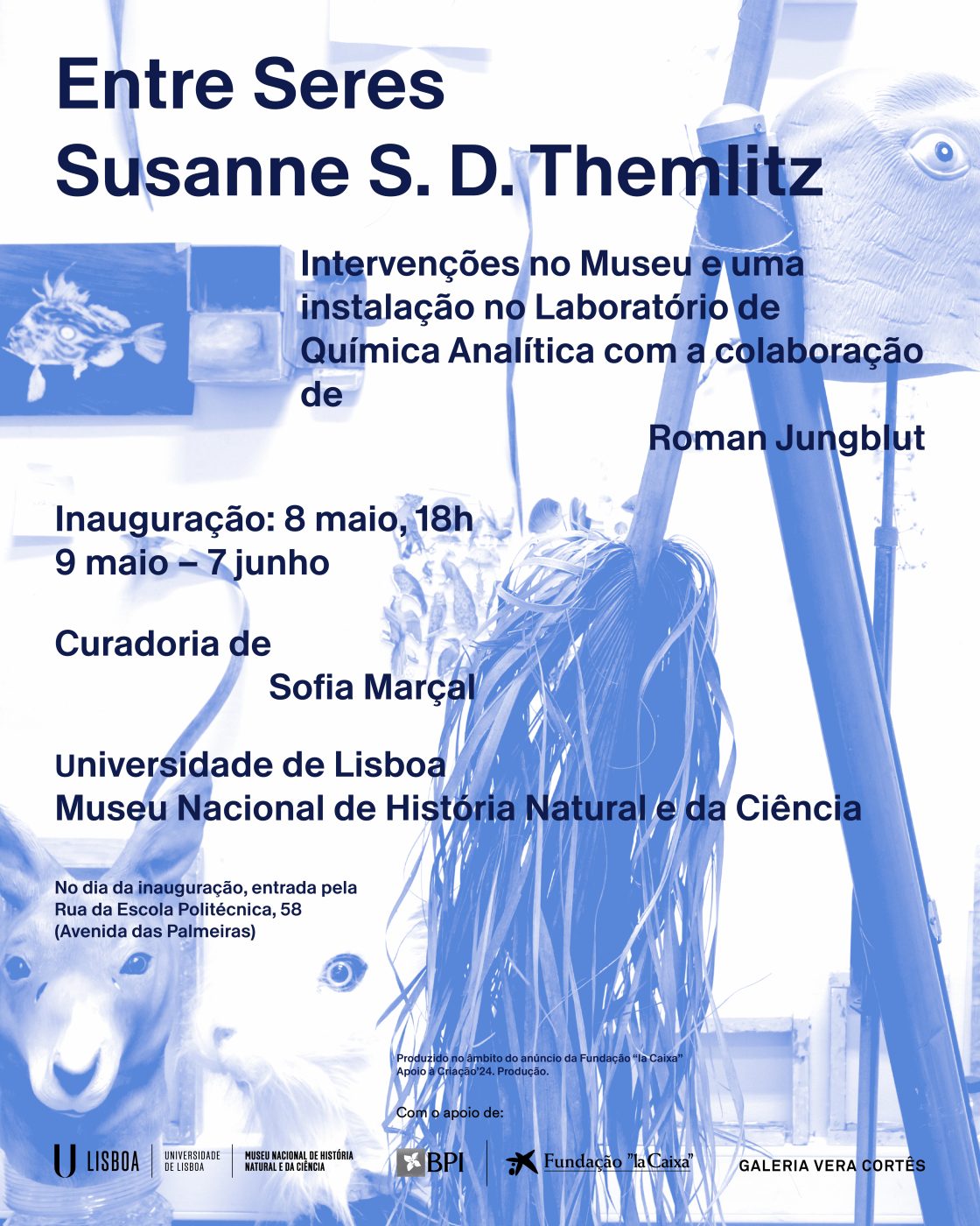 Susanne S. D. Themlitz