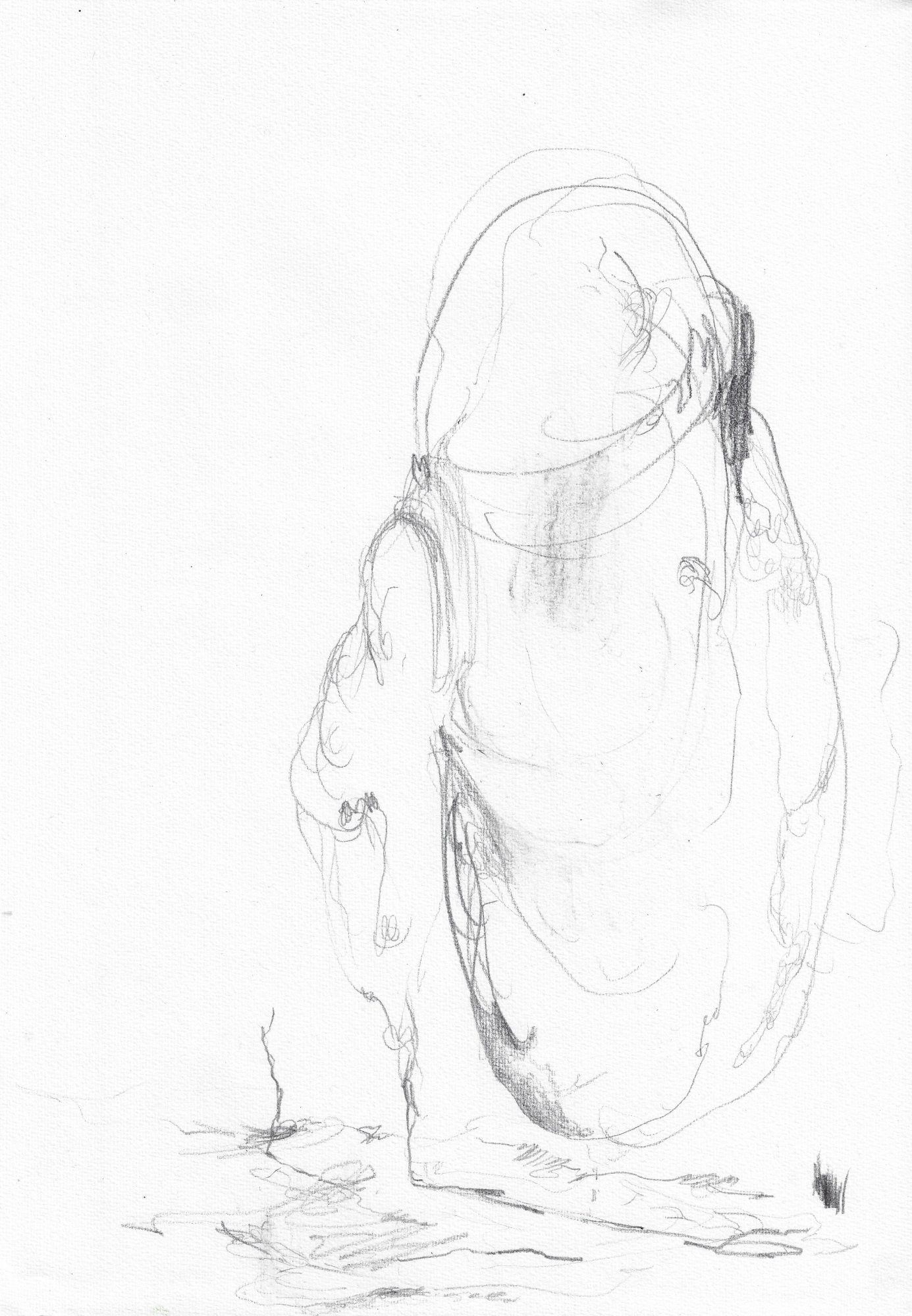 Susanne S. D. Themlitz, Among Beings’,Photogravure on Arches Velin Johannot paper, 125 gsm
