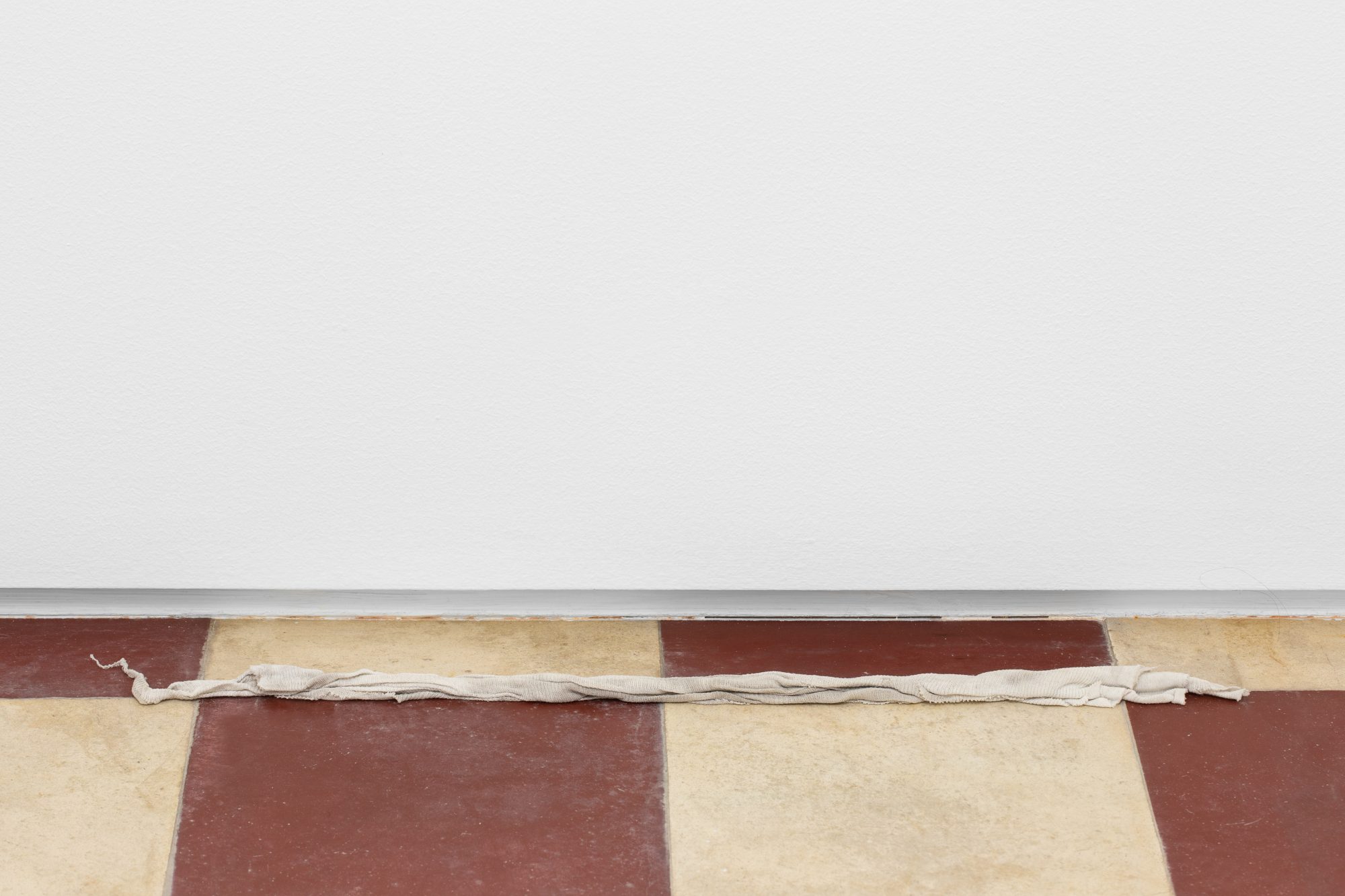 Armanda Duarte, paninho encardido, 20 cloth (a piece of fabric which, when soaked in water, removed dust from certain glass surfaces) on the floor. 4,5 x 52,2x 1,5 cm. Unique
