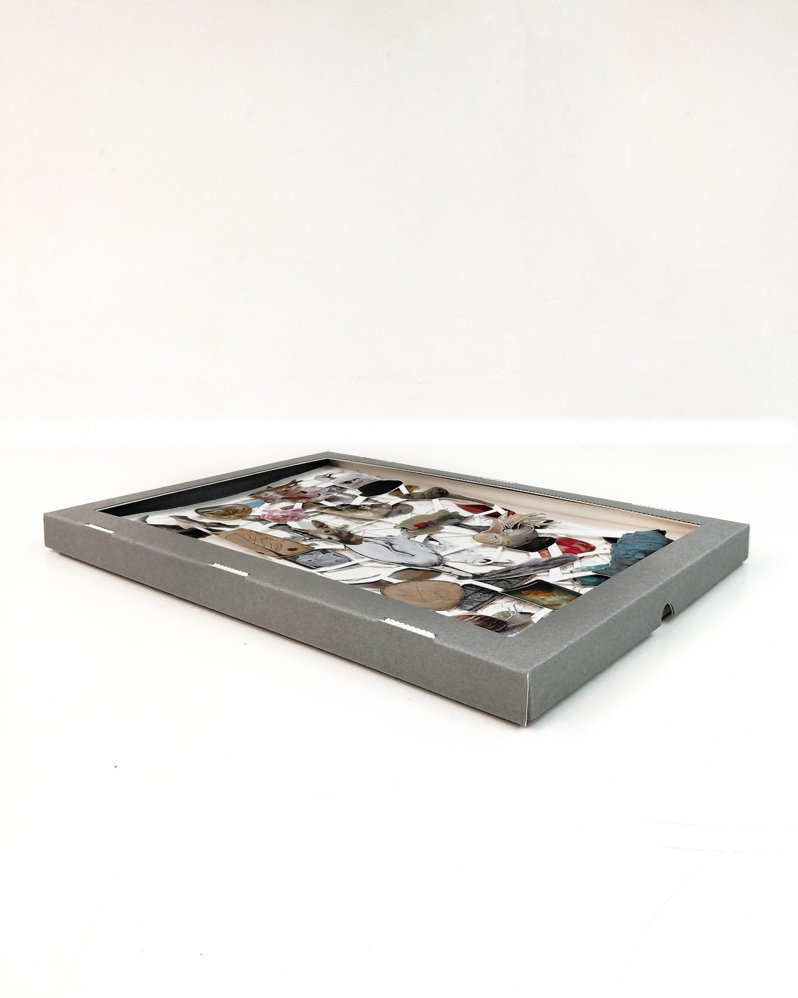Susanne S. D. Themlitz, Entre Seres/ Among Beings, 2026. Box measures 31 × 43 × 2.5 cm, and the works 40 x 27,7 cm. The set comprises 26 works: 14 Giclée digital prints, 5 photogravures, 5 drawings, and 2 original paintings.
