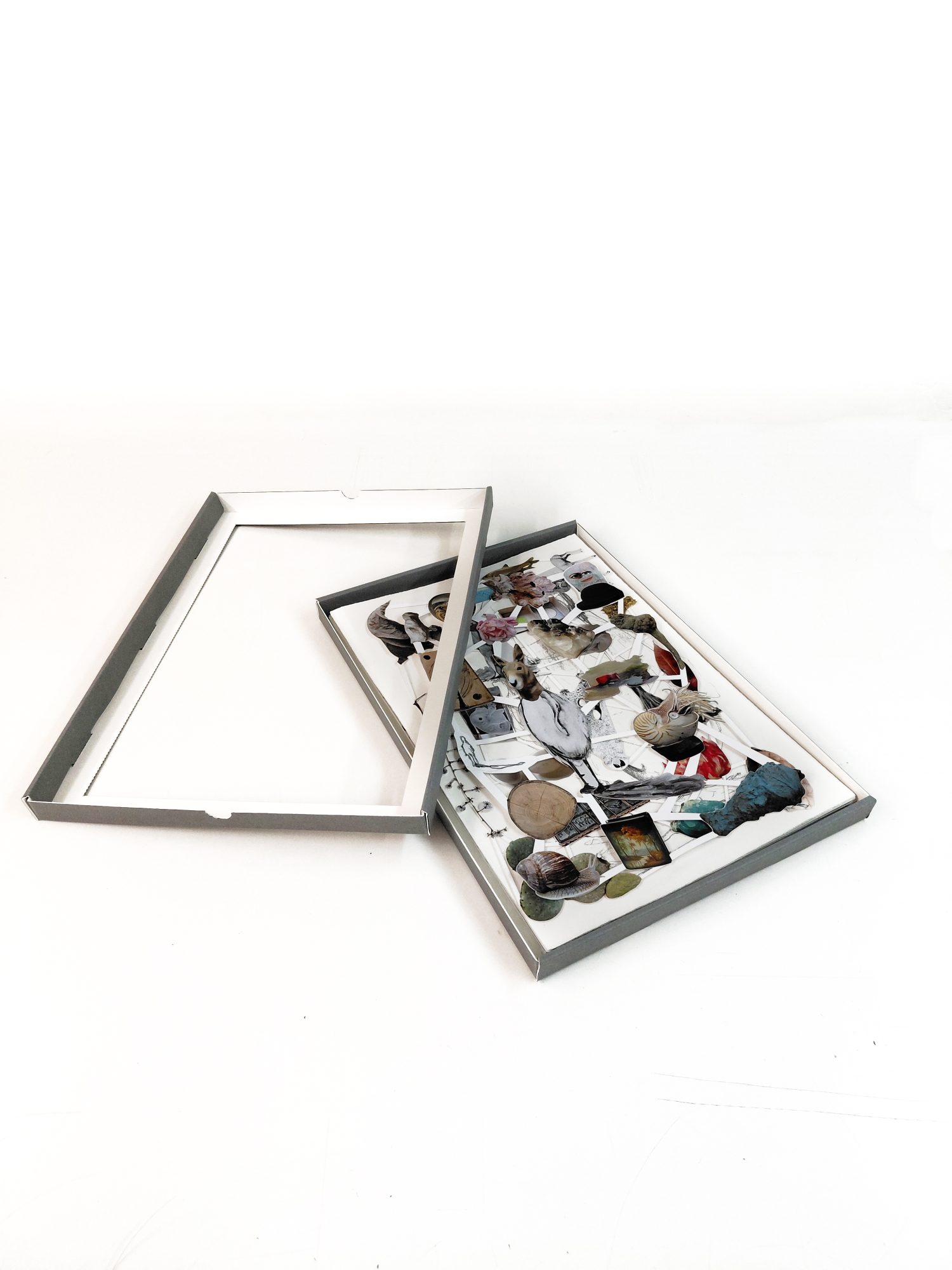 Susanne S. D. Themlitz, Entre Seres/ Among Beings, 2026. Box measures 31 × 43 × 2.5 cm, and the works 40 x 27,7 cm. The set comprises 26 works: 14 Giclée digital prints, 5 photogravures, 5 drawings, and 2 original paintings.
